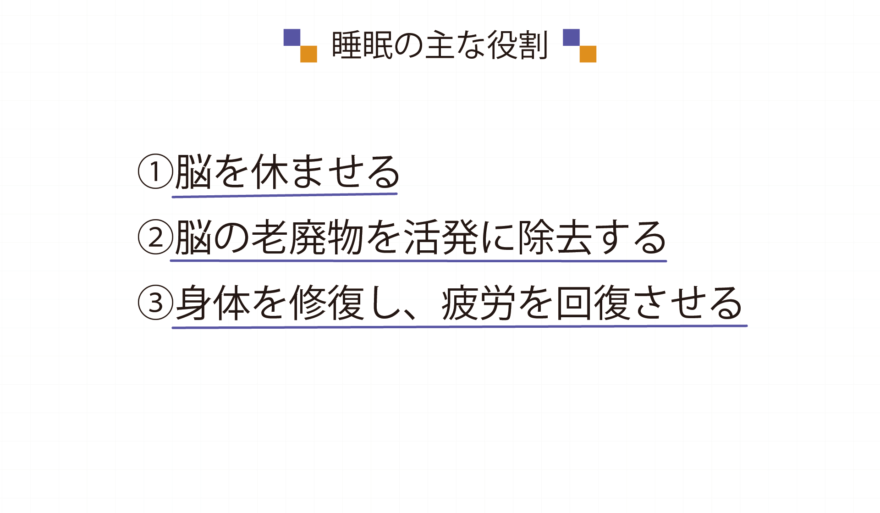 睡眠の主な役割